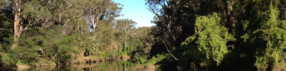 View of the Lane Cove River